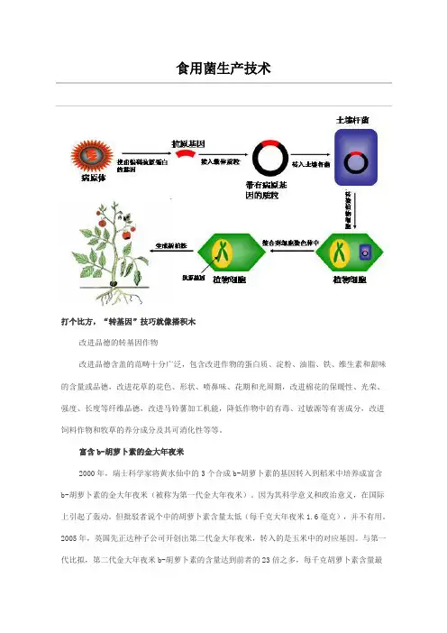 食用菌生产技术 2