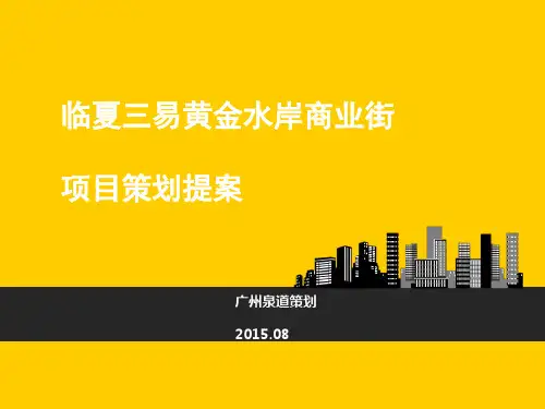 年甘肃临夏三易黄金水岸商业街项目策划提案页