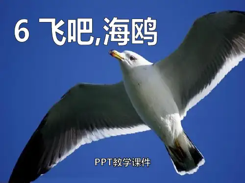 语文三下《飞吧,海鸥》