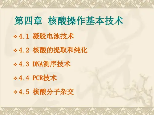 第四章 核酸操作基本技术