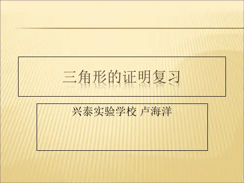 三角形的证明复习课件PPT