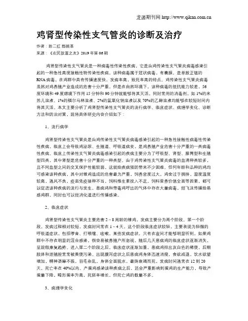 鸡肾型传染性支气管炎的诊断及治疗