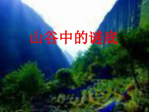 《山谷中的谜底》PPT课件第一教时