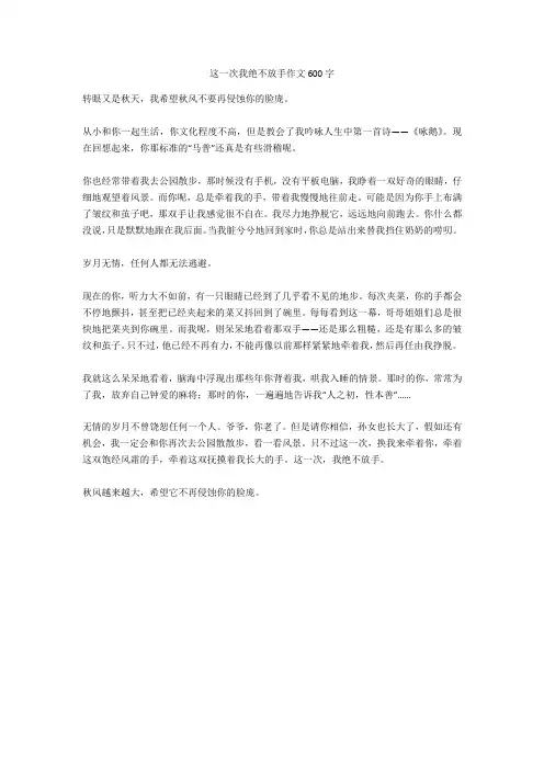 这一次我绝不放手作文600字正式版