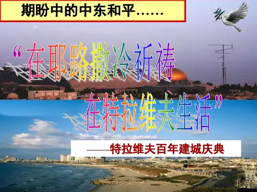 人教版教材《曲折的中东和平进程》精品课件
