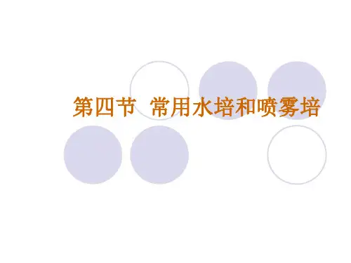 水培和喷雾培7.4