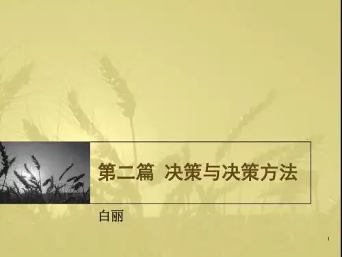 第三篇 决策与决策方法