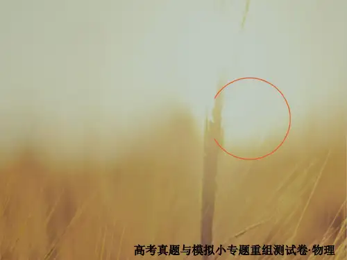 2018年高考科学复习解决方案物理真题与模拟单元重组卷课件：第十三单元 恒定电流 精品