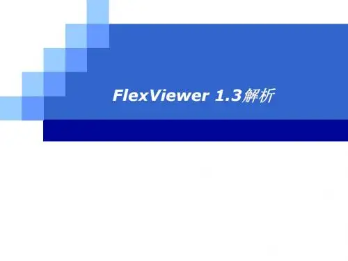 FlexViewer分析