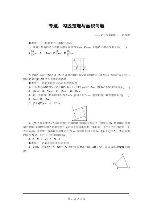 专题：勾股定理与面积问题 含答案