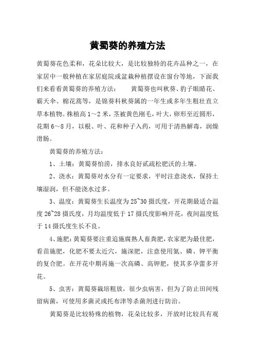 黄蜀葵的养殖方法