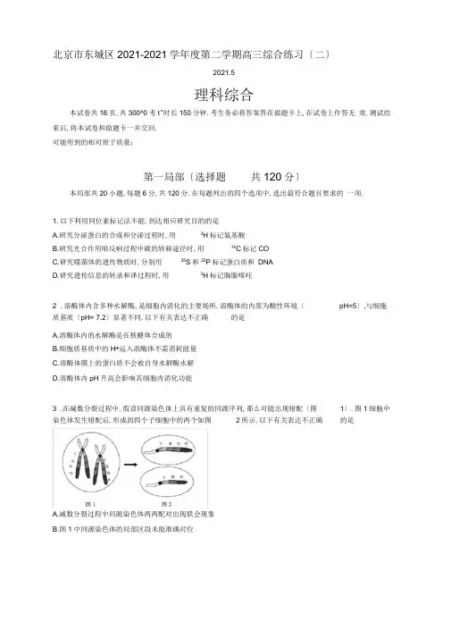 北京市东城区2018-2019学年度第二学期高三综合练习(理综二模)