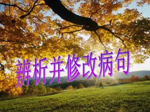 辨析病句成建平