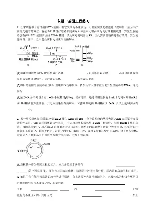 专题一基因工程