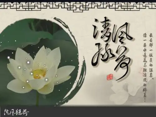 清风绿荷
