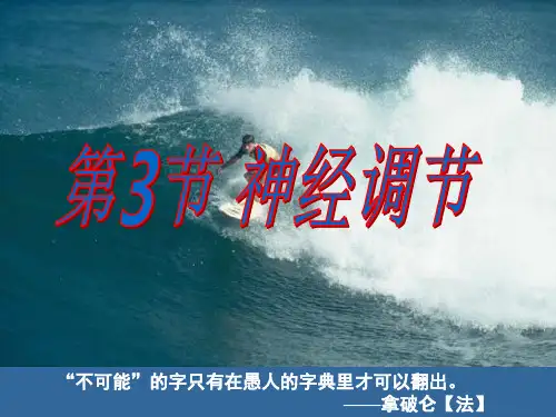 浙教版八年级科学上册3.3神经调节课件