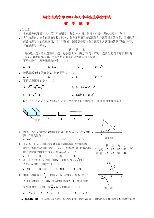 湖北省咸宁市2014年中考数学真题试题(含答案)