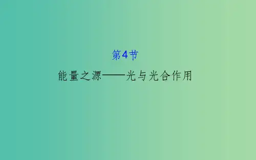 高三生物第一轮复习 第5章 第4节 能量之源-光与光合作用课件 新人教版必修1