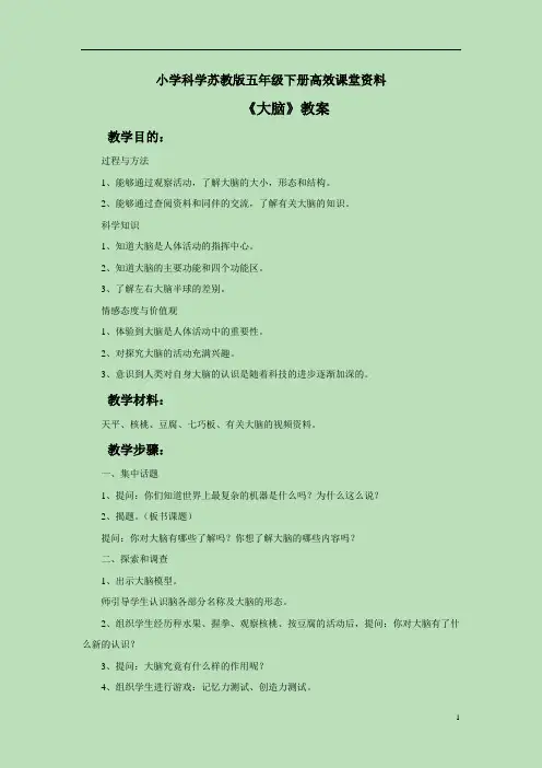 小学科学苏教版五年级下册高效课堂资料《1. 大脑》教案1
