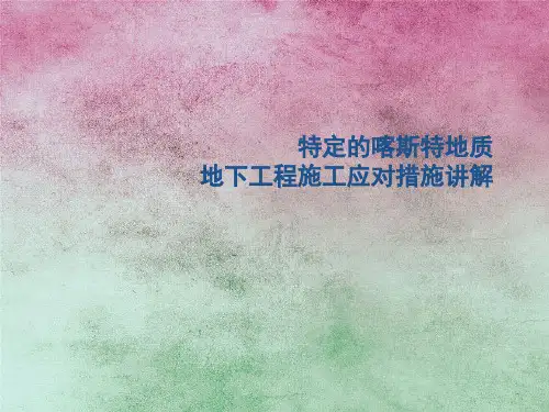 特定的喀斯特地质地下工程施工应对措施讲解