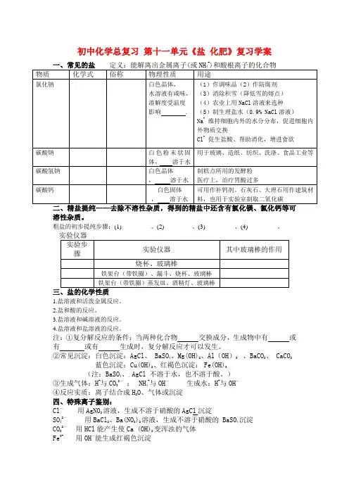 初中化学总复习 第十一单元《盐 化肥》复习学案