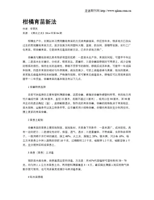 柑橘育苗新法