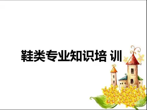 鞋类基本知识要点共85页