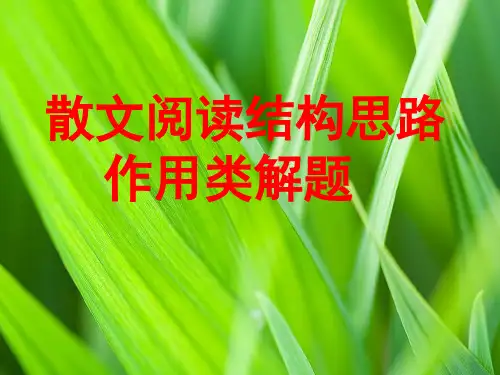 散文结构特点