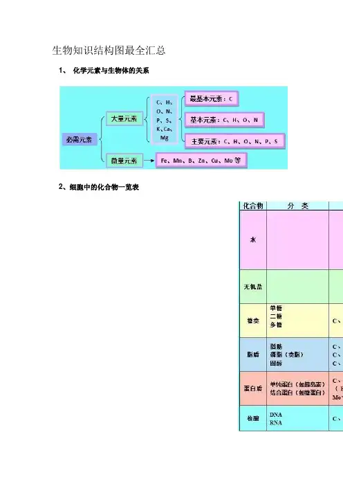 生物知识结构图最全汇总