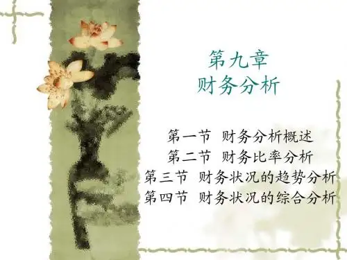 第9章财务分析