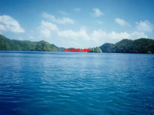 10心理评估与测验