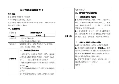 种子的结构实验报告