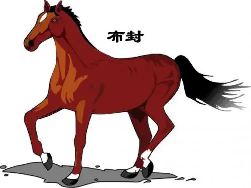 29 马 布封