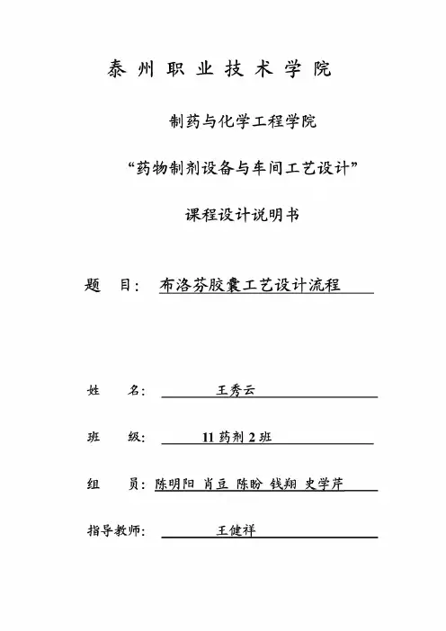 布洛芬胶囊工艺设计流程