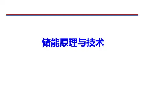 储能原理与技术