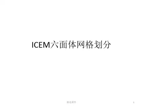 ICEM六面体网格划分
