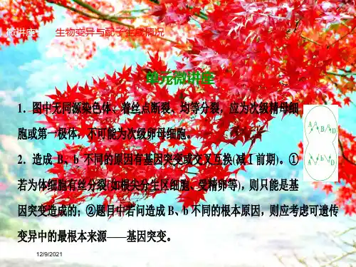 高考生物一轮复习 第七单元 生物的变异、育种与进化单元微讲座课件
