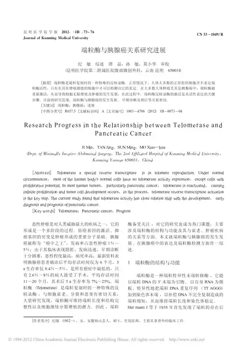 端粒酶与胰腺癌关系研究进展