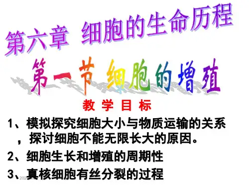 人教版生物必修一有丝分裂