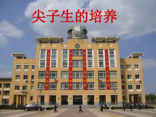 尖子生培养培训课件