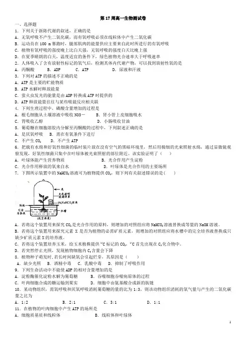 5.(3)新人教版高中生物必修一第五章细胞的能量供应和利用 含答案