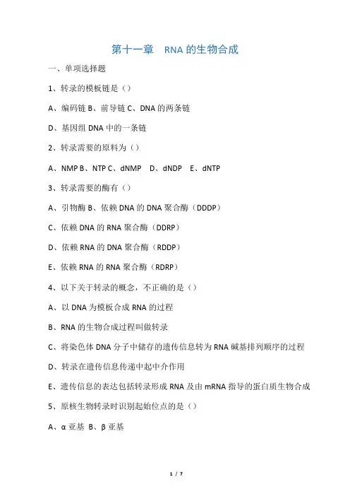 第11章  RNA的生物合成