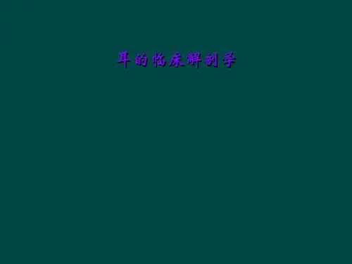 耳的临床解剖学