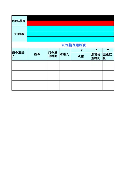YCYA表模版与示例