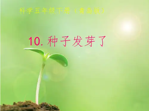 青岛版小学科学五年级下册《种子发芽了》精品教案