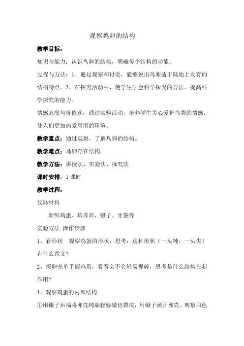 观察鸡卵的结构 2