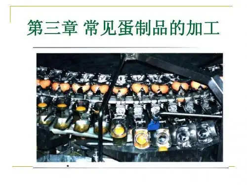 常见蛋制品的加工
