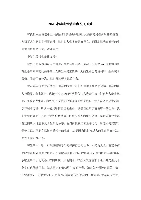 2020小学生珍惜生命作文五篇