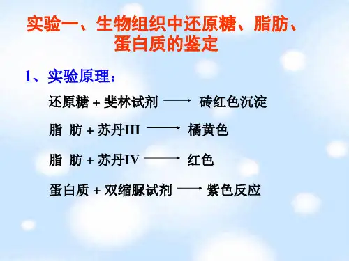 三大类物质鉴定实验