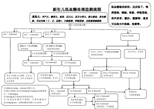 新生儿低血糖处理监测流程
